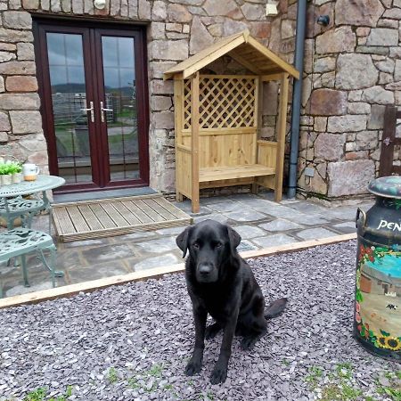 Conwy Pen Cefn Farm Holiday Abergele Exteriör bild