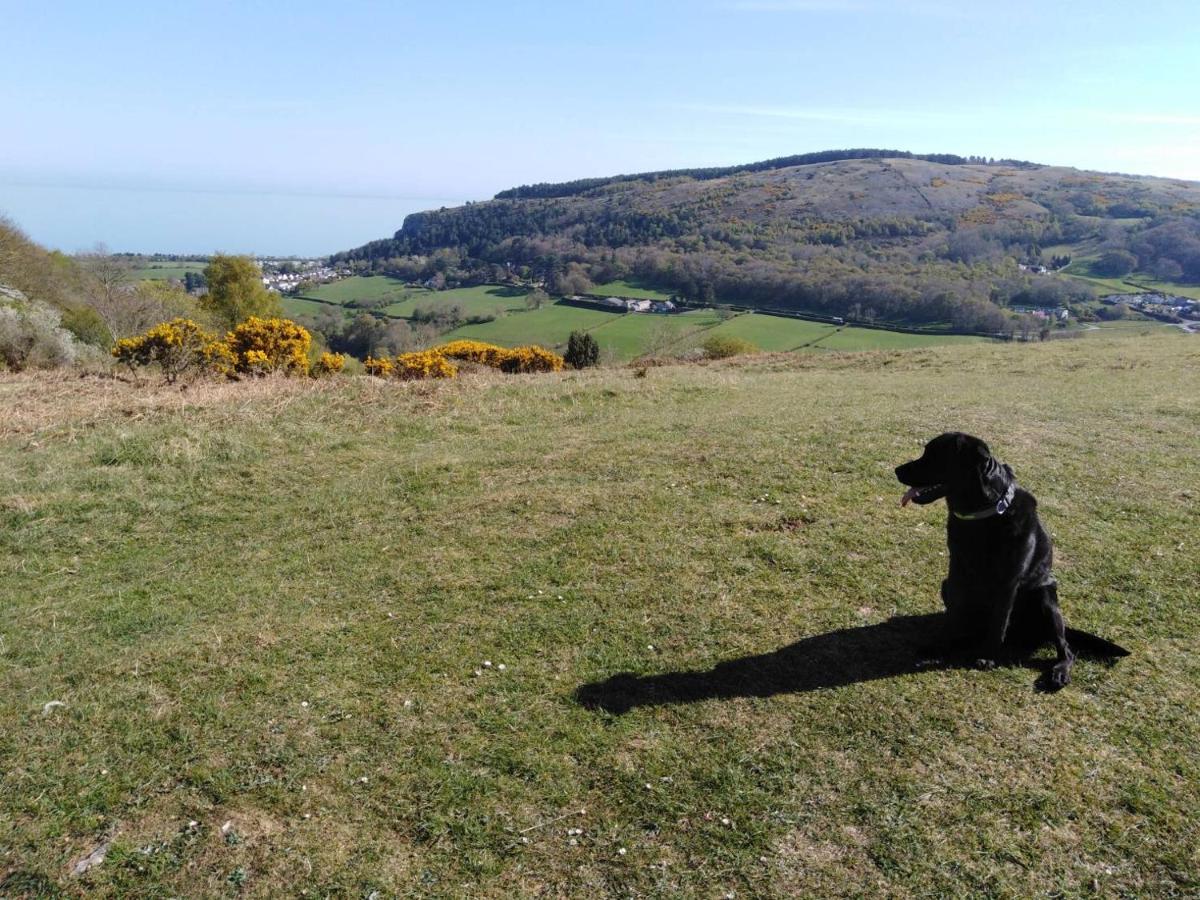 Conwy Pen Cefn Farm Holiday Abergele Exteriör bild